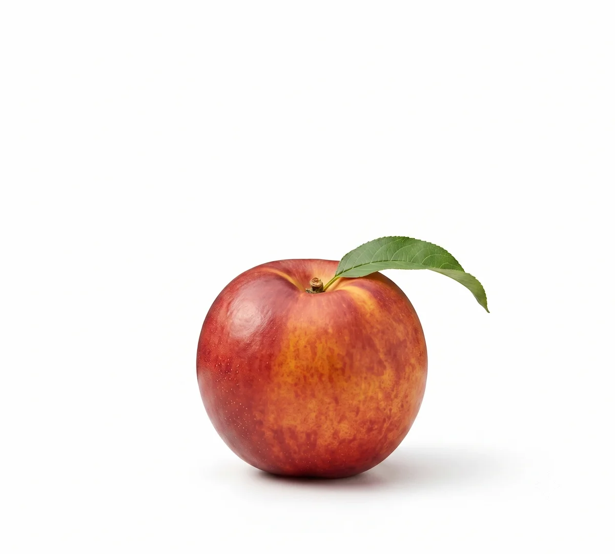Nectarines